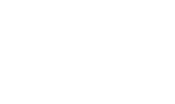 62369303