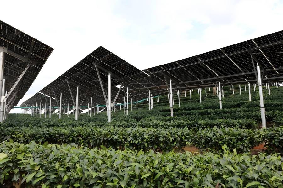网信快3集团喜获80MW光伏项目保险性建设指标， 绿色能源发展迈出坚实一步！